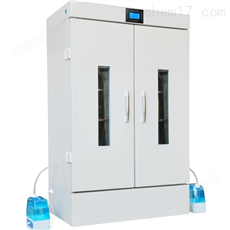 人工气候箱 RXZ-1500B